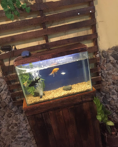 Pastelaria Ferreira - Ipu