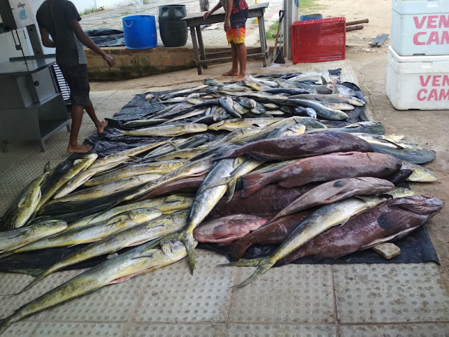 Opinii despre Restaurante O Pescador în Camaçari - Gastronomia e hotelaria