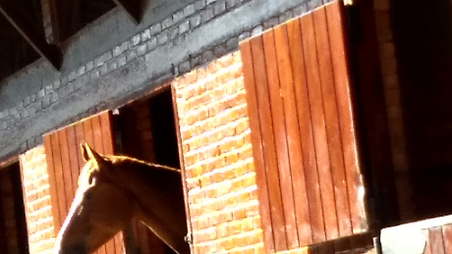 Opinii despre Padaria Caleme în Teresópolis - Gastronomia e hotelaria