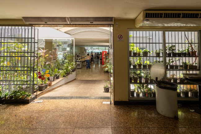 Ellus Restaurante e Churascaria - Vitória