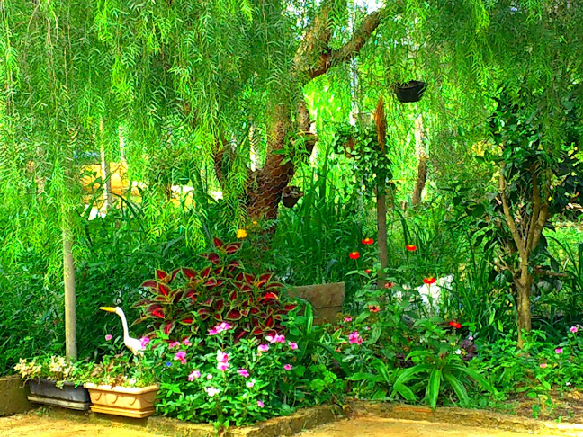 Engenho do Ribeiro, Bom Despacho - MG, 35600-000, Brasil