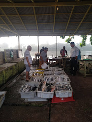 Valtinho Rei Do Peixe do Ver-o-Pesinho