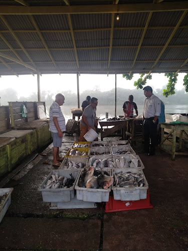 Valtinho Rei Do Peixe do Ver-o-Pesinho