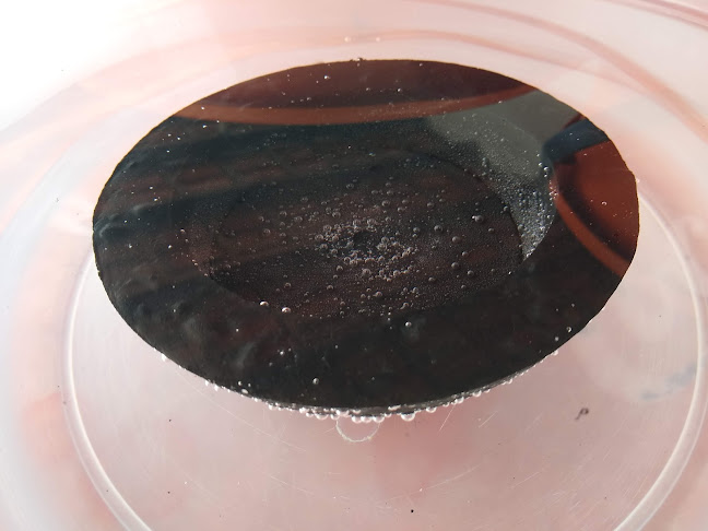 Padaria E Confeitaria Pangosto - Gastronomia e hotelaria