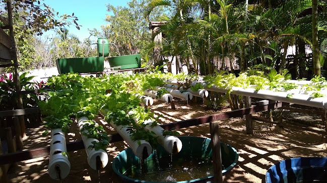 Rua principal Esquina da rua 9, Praia da Espera - Itacimirim, Camaçari - BA, 42823-000, Brasil