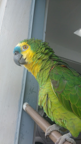 Espaço Gourmet - Lima Macena - Gastronomia e hotelaria