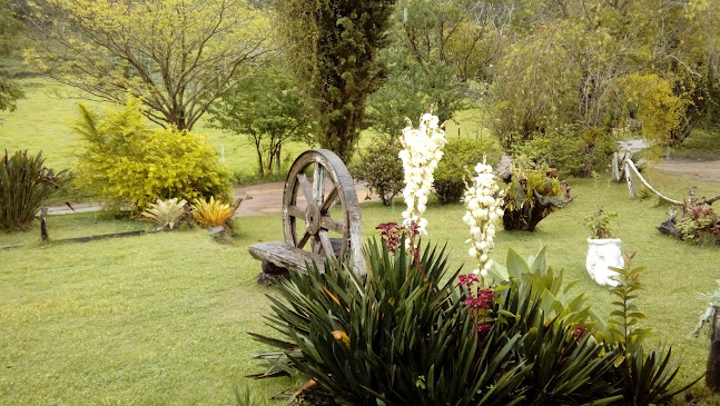 Rod. Geraldo Sartório, km 6 - caminho das flores, Domingos Martins - ES, 29260-000, Brasil