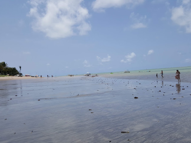 Mão Branca - Bar e Restaurante - Gastronomia e hotelaria