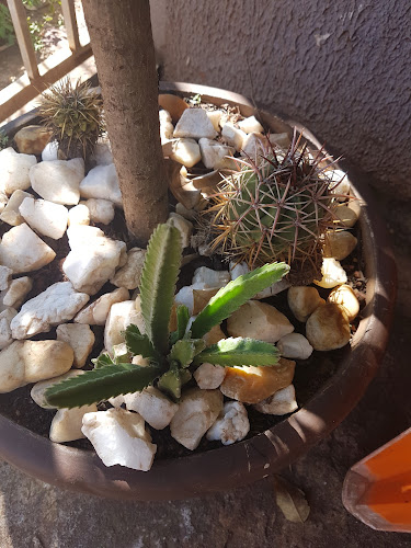 R. Aroeira, Qd 12 - lt 10 - Lot. Retiro do Bosque, Aparecida de Goiânia - GO, 74990-730, Brasil