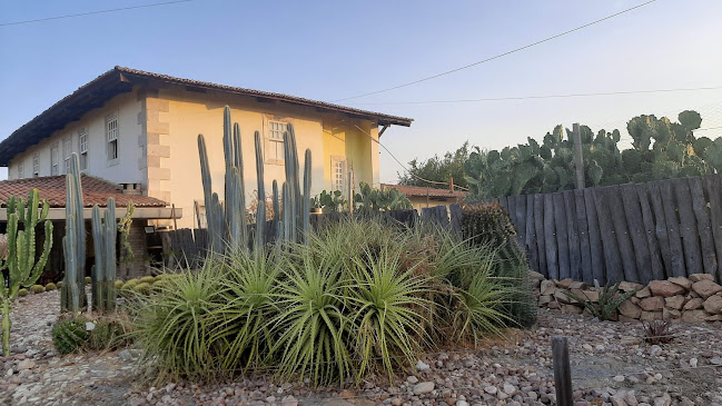 Cachaça Samanaú Unnamed Road 59300-000, Caicó - RN, 59300-000, Brasil