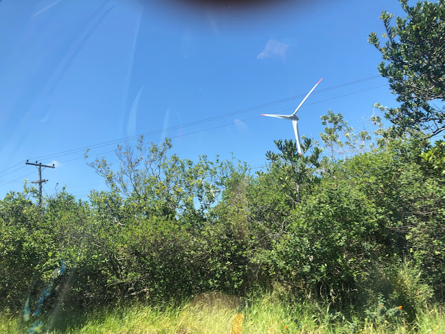 Melaria Bueno - Gastronomia e hotelaria