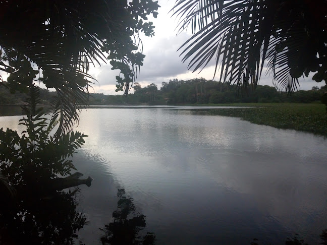 Opinii despre Bar Porto Verde în Recife - Gastronomia e hotelaria