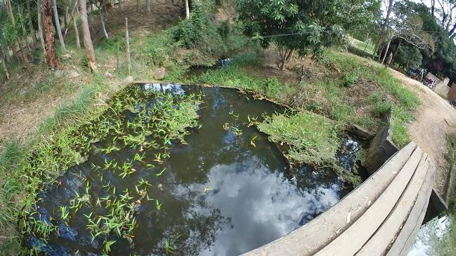 Opinii despre Fagulha în Teófilo Otoni - Gastronomia e hotelaria