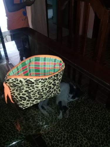 R. do Cedro - São Gonçalo dos Campos, BA, 44330-000