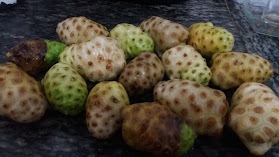 Bar e Depósito do Val