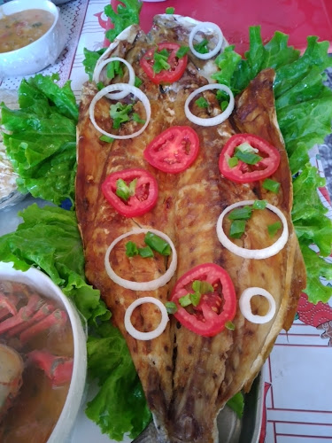 Tubarão Bar - São José de Ribamar