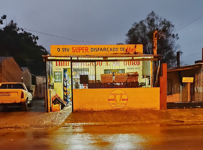 Mini Mercado Trigo de Ouro