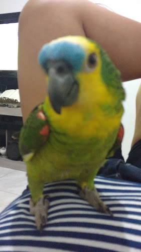 Rua Jardim, 185-231 - Vila Anapolis, Pesqueira - PE, 55200-000, Brasil