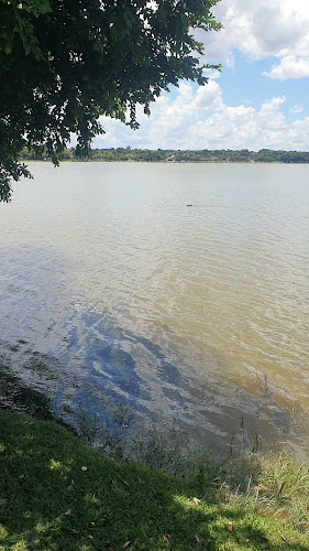 Opinii despre Restaurante E Petiscaria Peixe Frito în Três Lagoas - Gastronomia e hotelaria