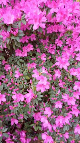 Choperia Restobar - Gastronomia e hotelaria