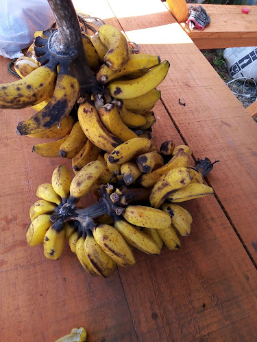 Opinii despre Restaurante Moinho în Araucária - Gastronomia e hotelaria