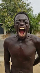 Restaurante Viva Bem