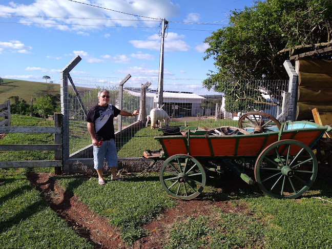 Rei Do Pastel Vinhos e Artesanatos - Gastronomia e hotelaria