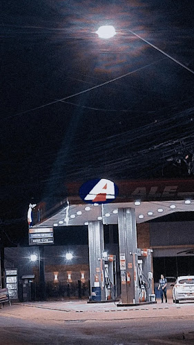 Rei do Pão Panificadora - Gastronomia e hotelaria