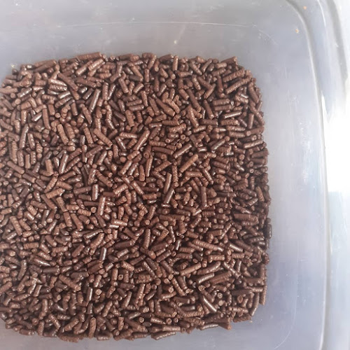 Comentarii opinii despre POINT DO AÇAÍ