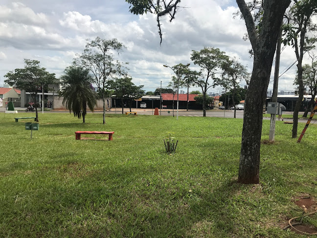 Grão Espresso - Londrina