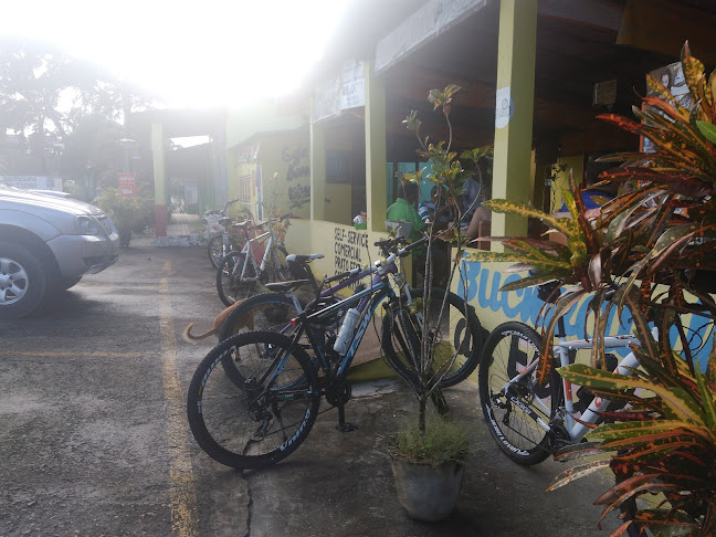 Buchadinha da Estela - Gastronomia e hotelaria