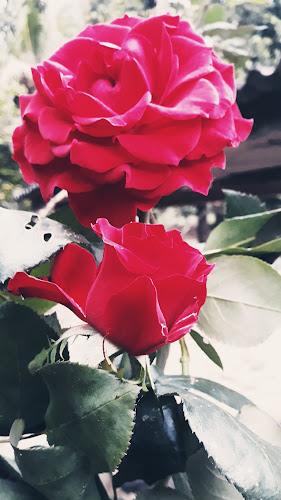 Unnamed Road, Barra de São Francisco - ES, 29800-000, Brasil