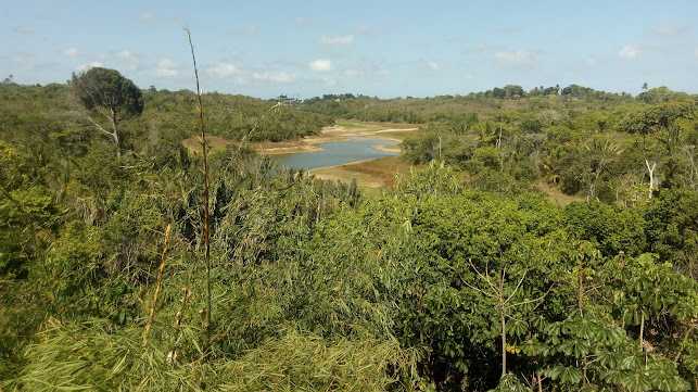 Hamburgueria e Petiscaria do Thallys - Salvador