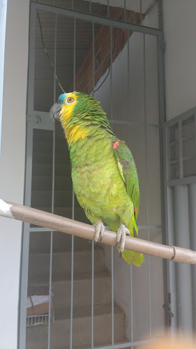 Espaço Gourmet - Lima Macena - Pesqueira