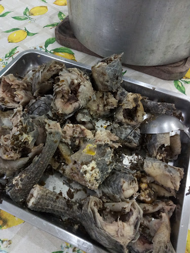 R. Jorge Lacerda, 256 - São João Batista, SC, 88240-000, Brasil