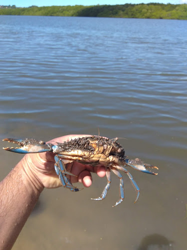 Bar Carro Forte - Ilhéus