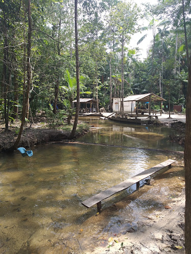 Opinii despre Balneario da Cabeceira în Castanhal - Gastronomia e hotelaria