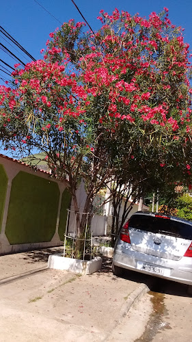 Opinii despre Mercadinho e Aluguel de Mesas Nova Califórnia în Nova Iguaçu - Gastronomia e hotelaria